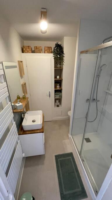 Cocon Douillet Pres De La Gare. Apartment Nancy Luaran gambar