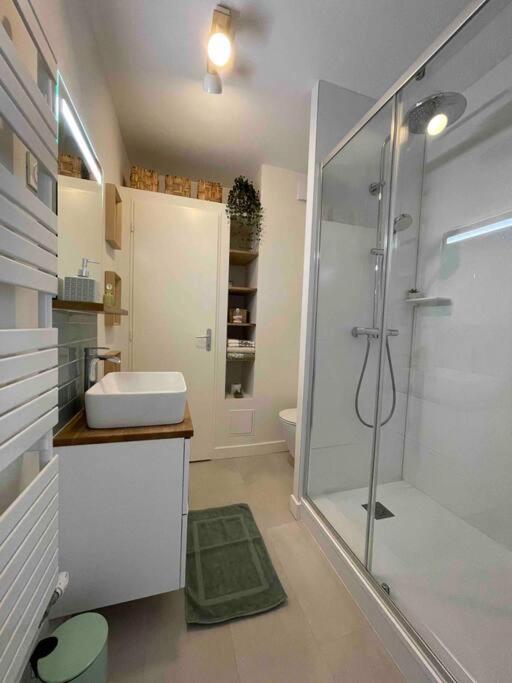 Cocon Douillet Pres De La Gare. Apartment Nancy Luaran gambar